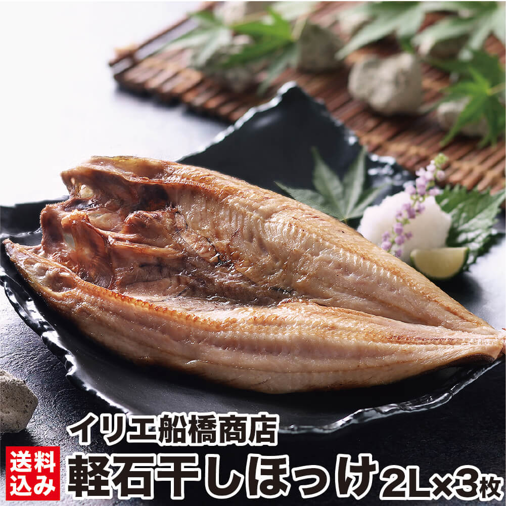 齋藤なぎさ 直筆 セミコンプ ヨリ、チュウ コメあり