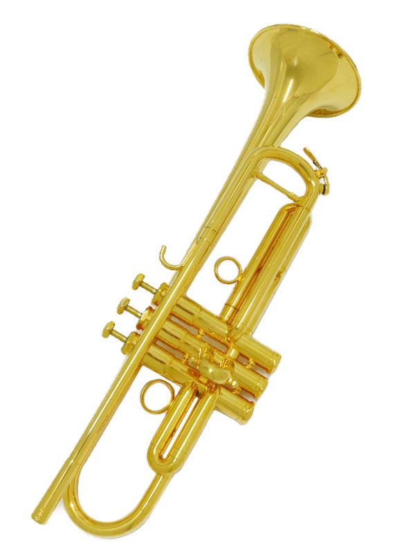 楽天市場】【中古】SCHUSTER / シュースター GS1 PATHFINDER SP B