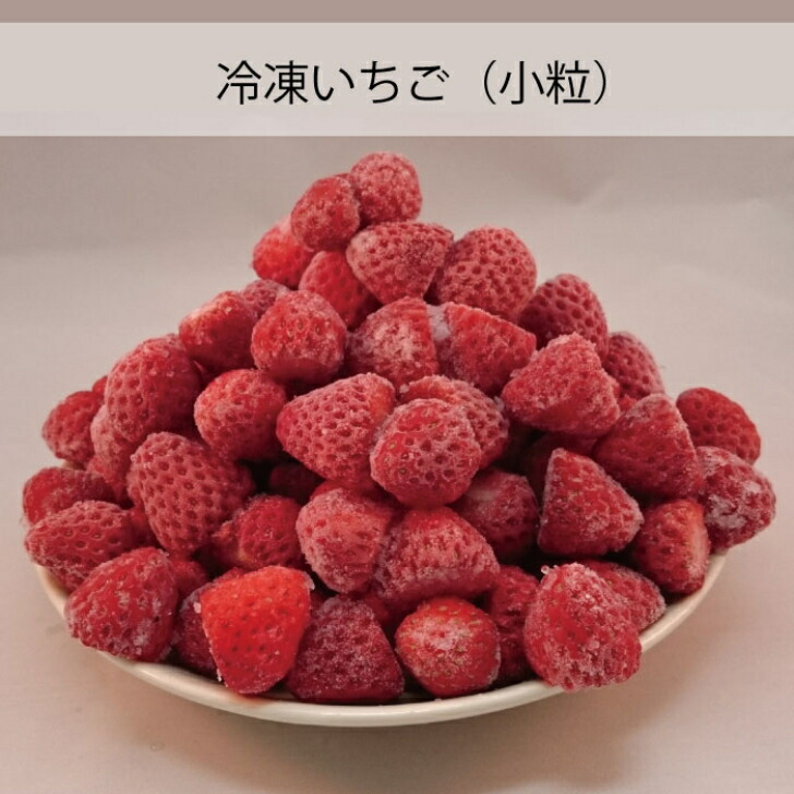 楽天市場】冷凍いちご 紅ほっぺ 国産 2025年度産 いちご 500g
