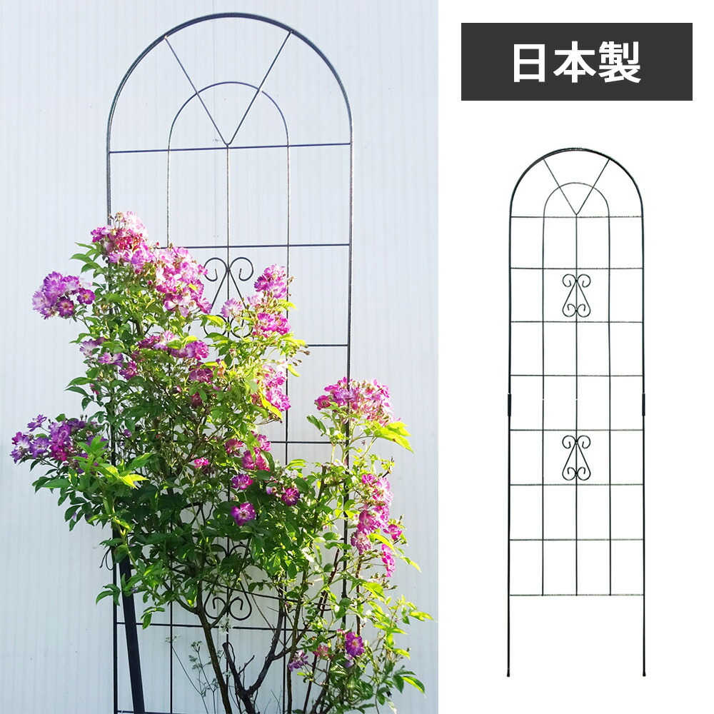 take a rest店 百貨店SALE6月度