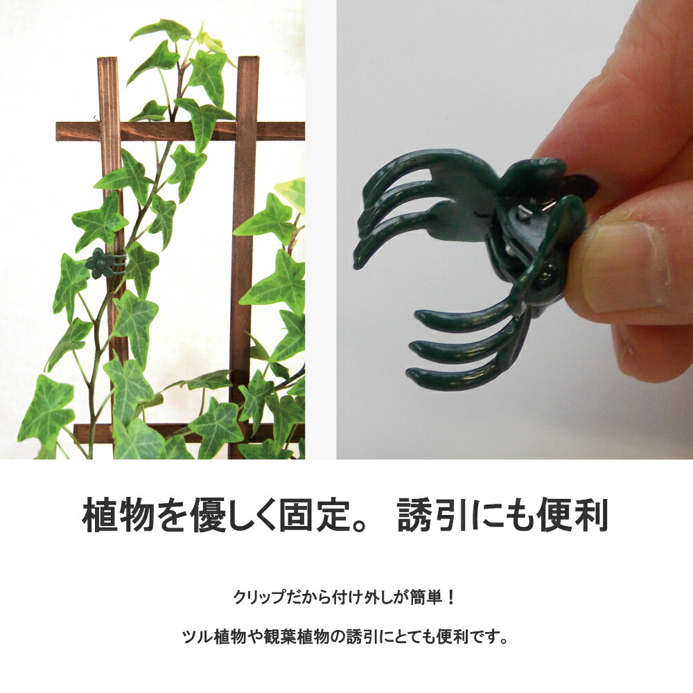 楽天市場 サポートクリップミニ 50個入り 固定 茎 ツル 園芸 ガーデニング 誘引 ツタ 支柱 結束 作業 バンド Take A Rest The North Land