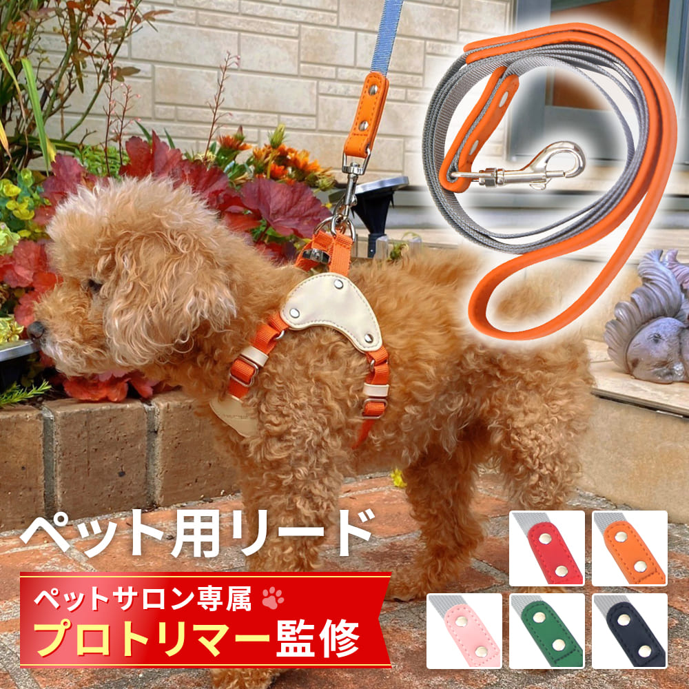 【楽天市場】【ペットサロントリマー監修】リード 犬 革 小型犬 中型犬 大型犬 散歩グッズ 散歩用リード ペット用品 ペットグッズ おしゃれ
