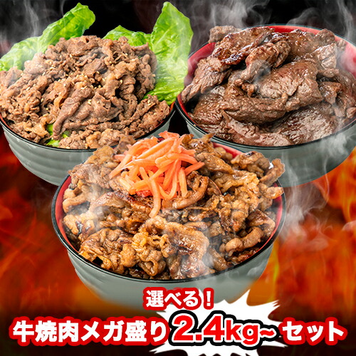 【全品P2倍★マラソン限定】《 父の日 専用熨斗有》選べる！牛焼肉メガ盛り2.4kg~セット (120g×20パック) 武田ハム ハラミ カルビ プルコギ 牛肉 味付け肉 BBQ 小分け 惣菜 冷凍 食品 ギフト お取り寄せ 詰め合わせ 業務用 父の日