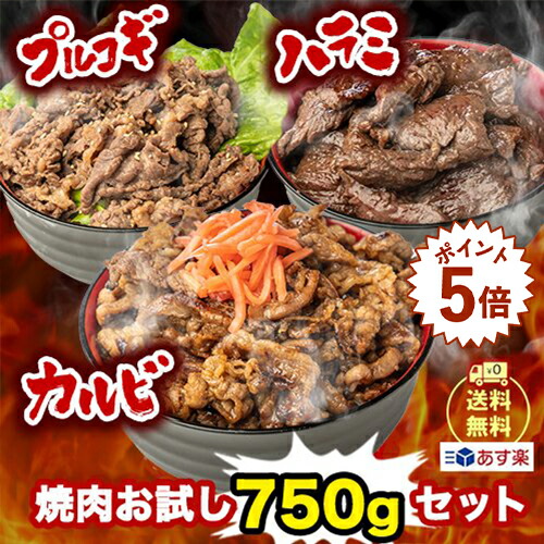 大感謝祭限定！3,000⇒2,490円★全品P5倍【さらにクーポン利用で10％OFF】＼お試し／焼肉750gセット 武田ハム 肉加工品 食品 お取り寄せ プレゼント 人気 ギフトセット お返し 焼き肉 セット 食べ比べ 牛肉 ハラミ カルビ プルコギ 冷凍 簡単 味付き肉 クリスマス お歳暮のご紹介