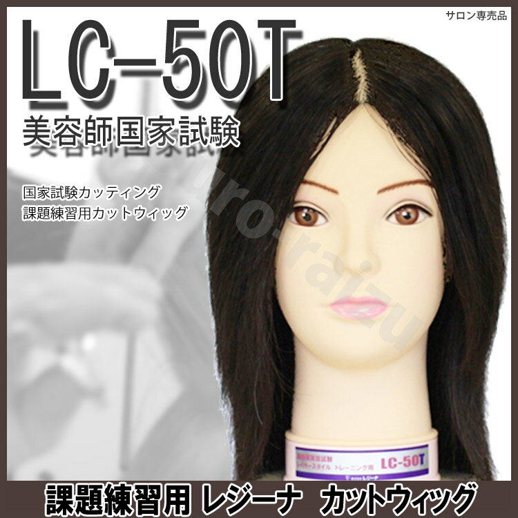 国試練習用 レイヤーカット練習用 カットウィッグ4個 レジーナ LC-50T-