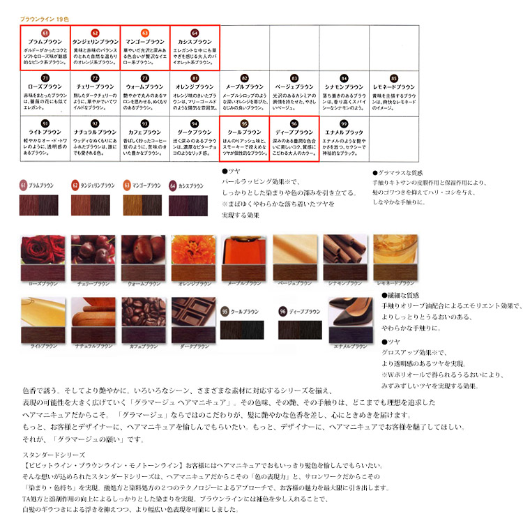 新色登場 キャンペーン 定形外郵便送料無料 ホーユー 大流行中 ブラウンライン グラマージュヘアマニキュア150g 色選択あり