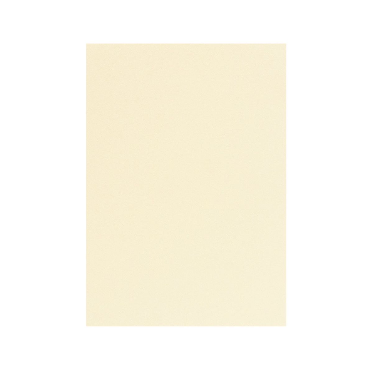 流行 竹尾 PAPER PALETTE A4中紙 サーブル スノーホワイト