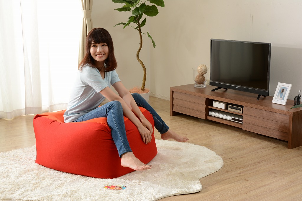【送料無料】人をダメにするスゴビーズ Mサイズ【沖縄・離島へは配送できません】｜Takeo-shop　店