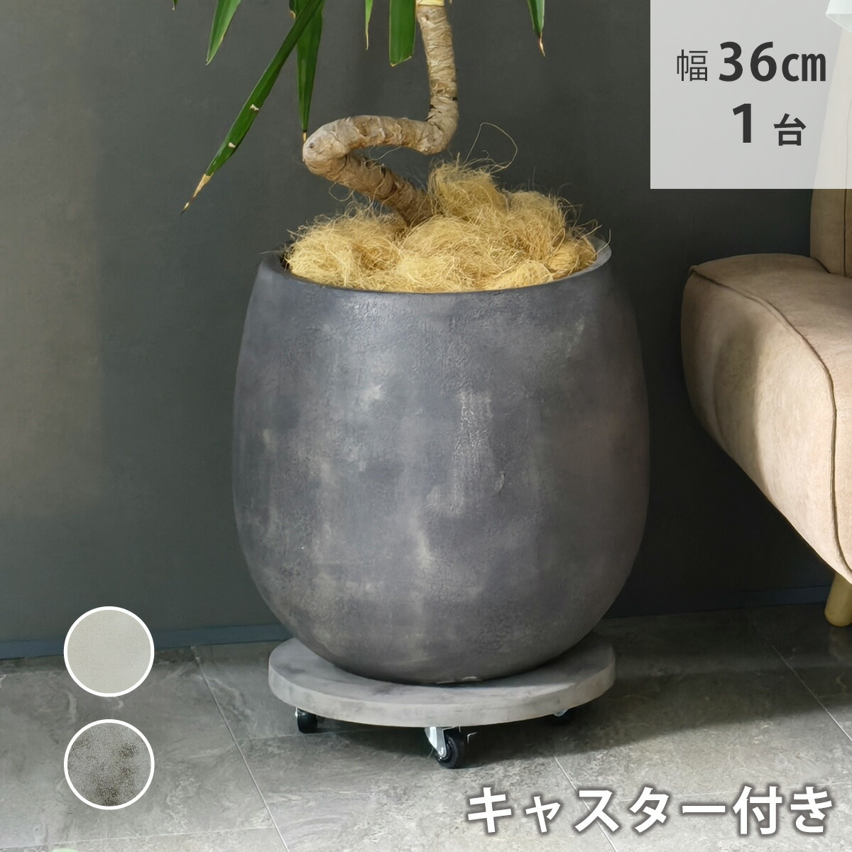 【送料無料】 セメント製キャスター付きプランターキャリー36cm TR360 直径36 スタンド フラワースタンド ベース キャスター 台車 鉢置き 花台 プランター おしゃれ インテリア 室内 ベランダ ガーデン