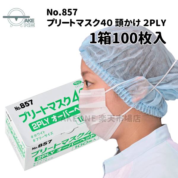 不織布マスク 使い捨てマスク 2層構造 エブノ プリートマスク40 2PLY オーバーヘッドタイプ ホワイト 1箱 100枚入 薄手マスク 飛沫防止 857|テイクワン