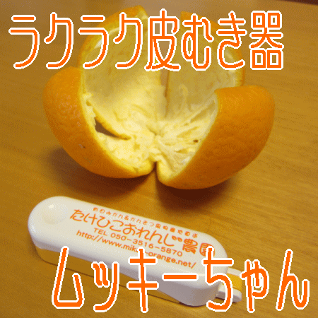 簡単！便利！オレンジやグレープフルーツの皮が簡単に剥けるグッズはどれ？