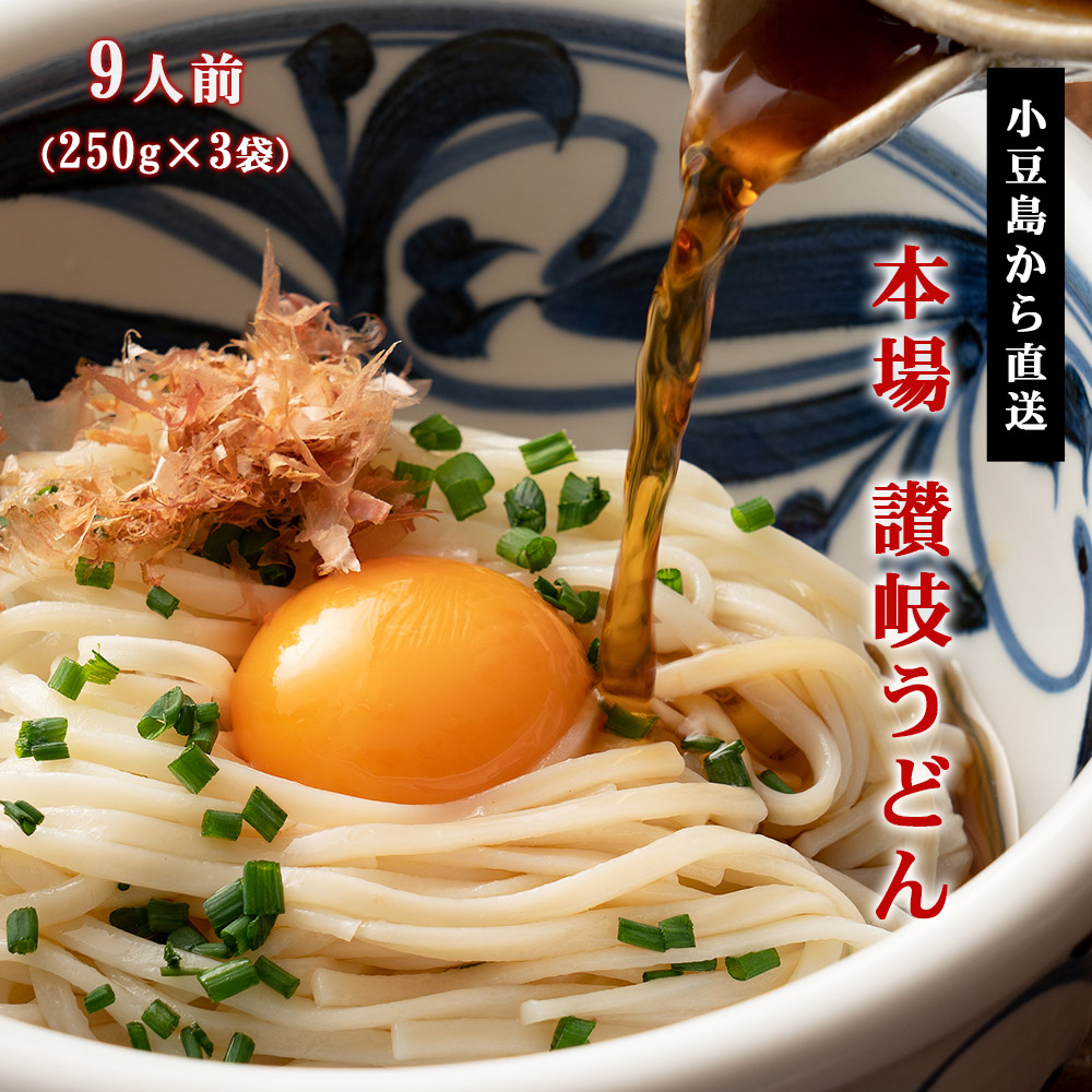 本物保証! タケサン つゆ 讃岐 肉ぶっかけうどんだし 300ml 小豆島 うどん 肉 ぶっかけ 簡単調理 うどん県 お手軽