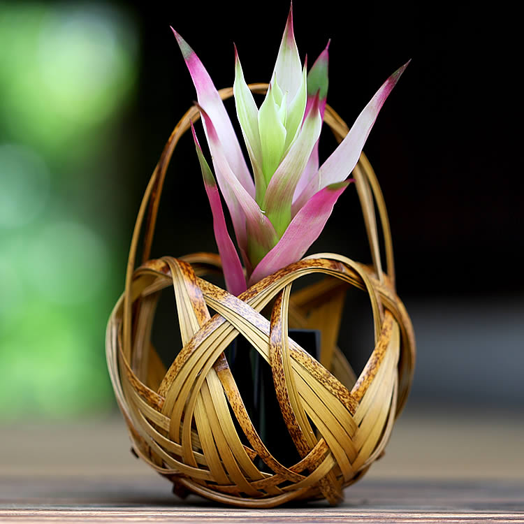 楽天市場】西川商店 花籠 ポートタワー≪熨斗対応不可≫ 花生け 虎竹