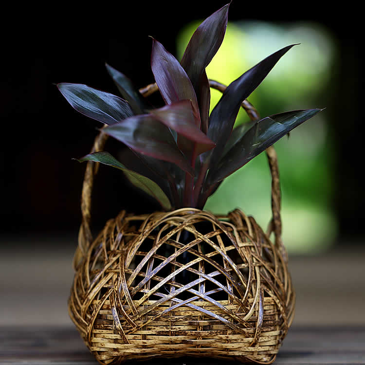 楽天市場】虎竹花籠 口広茶籠 : 虎斑竹専門店 竹虎