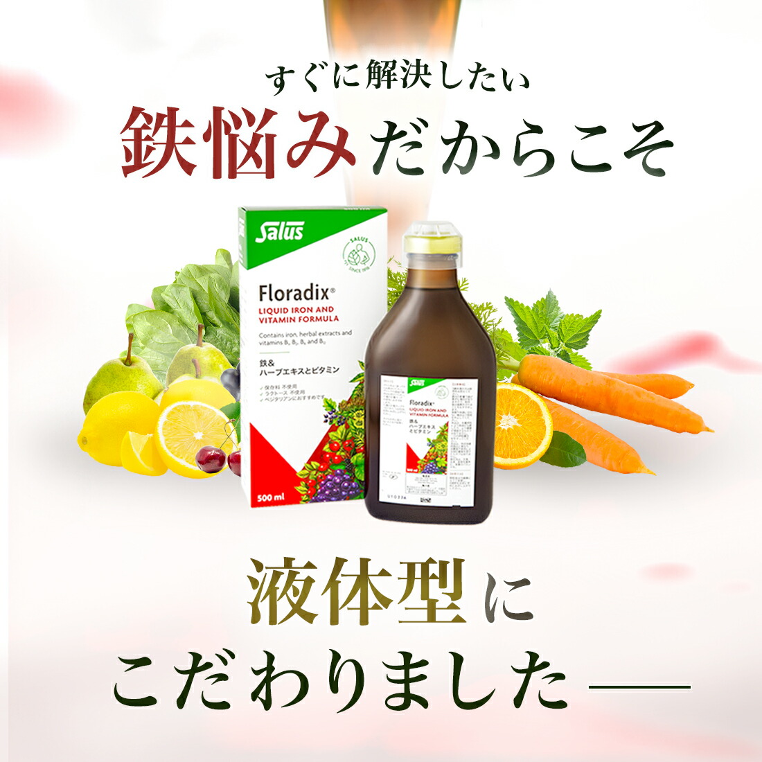 フローラディクス 500ml 鉄分 飲み物 Salus Haus【メーカー公式
