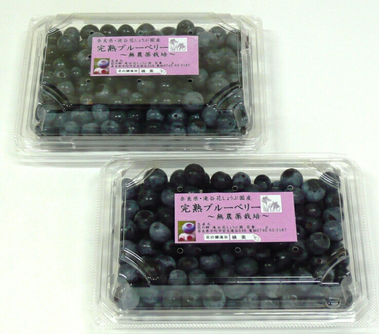 すらいむ　完熟　生ブルーベリー【大粒〜特大】(180g×15p) 山形の完熟生ブルーベリー約700g(350g×2パック)[箱入]
