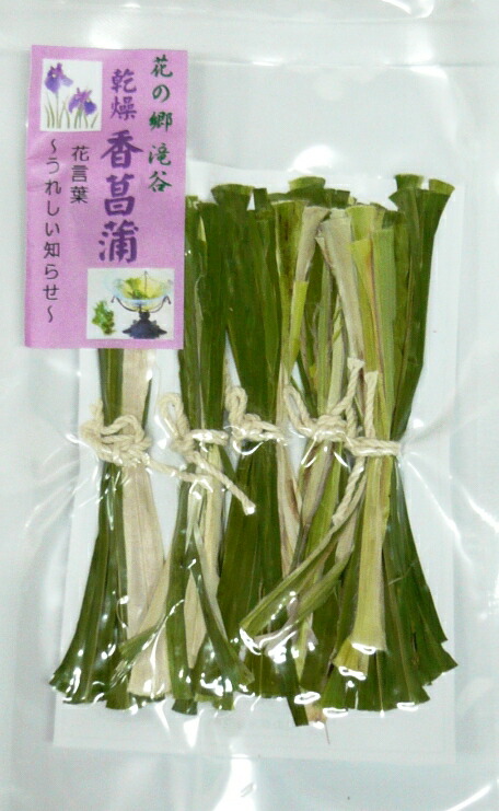 Neko様　売約済みです。耐寒宿根草　菖蒲湯用の菖蒲です。　22-4(5) 生花】お風呂用 葉菖蒲・販売用スリーブ入り(束)4/28〜5/5日限定