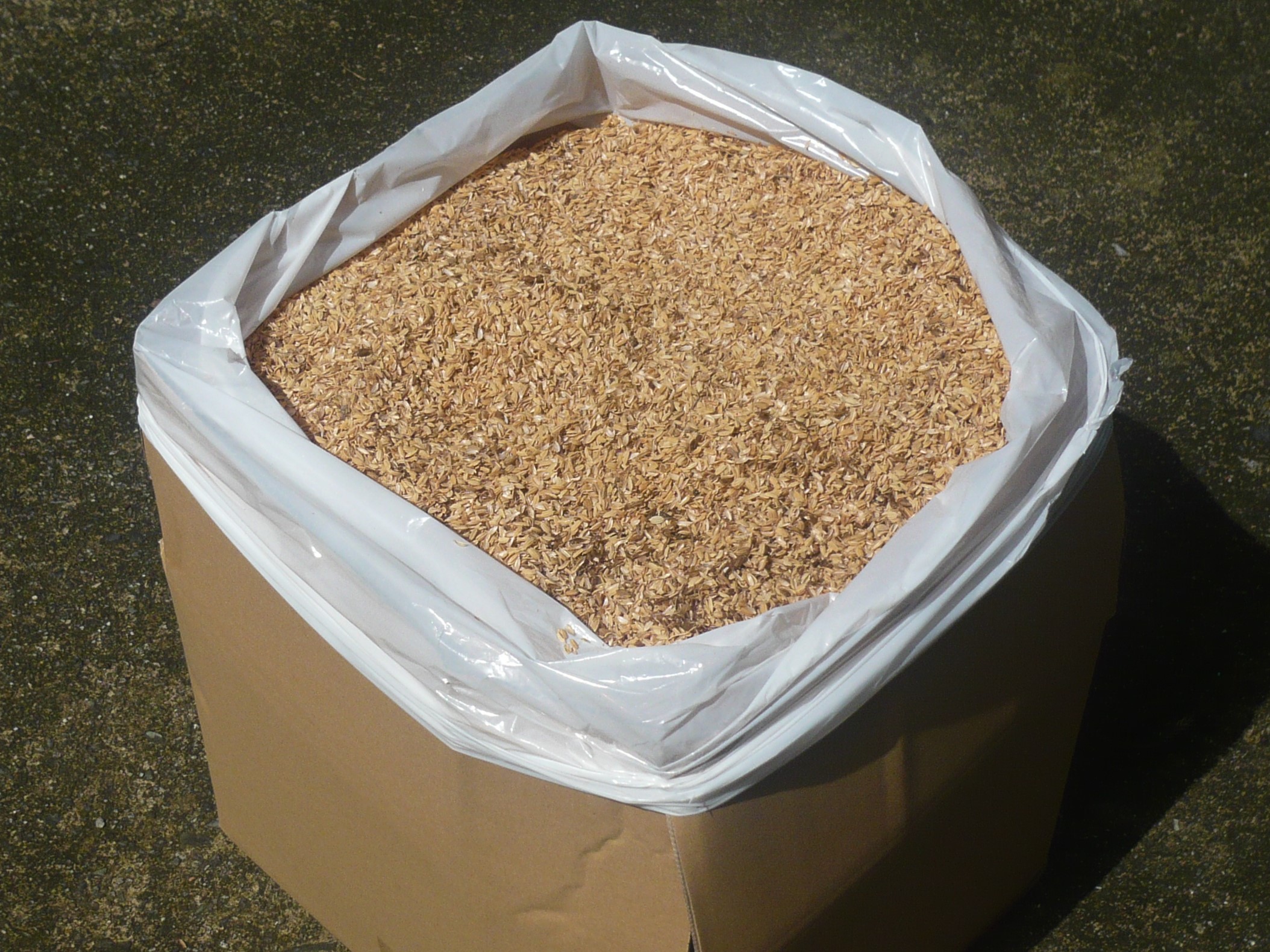 国産 檜葉(ヒバ)桧葉 30cm〜35cm×10枚 花の郷滝谷花しょうぶ園 国産 しきび樒 1束 35cm〜40cm×(3〜5本)