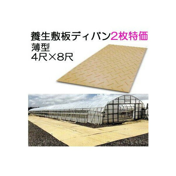 (2枚セット特価) 養生敷板 ディバン 薄型 4尺&times;8尺&times;13mm 1219&times;2438&times;13mm (8mm凸部5mm) 27kg 農業用 茶色 (法人届けor営業所で引取り)｜瀧商店