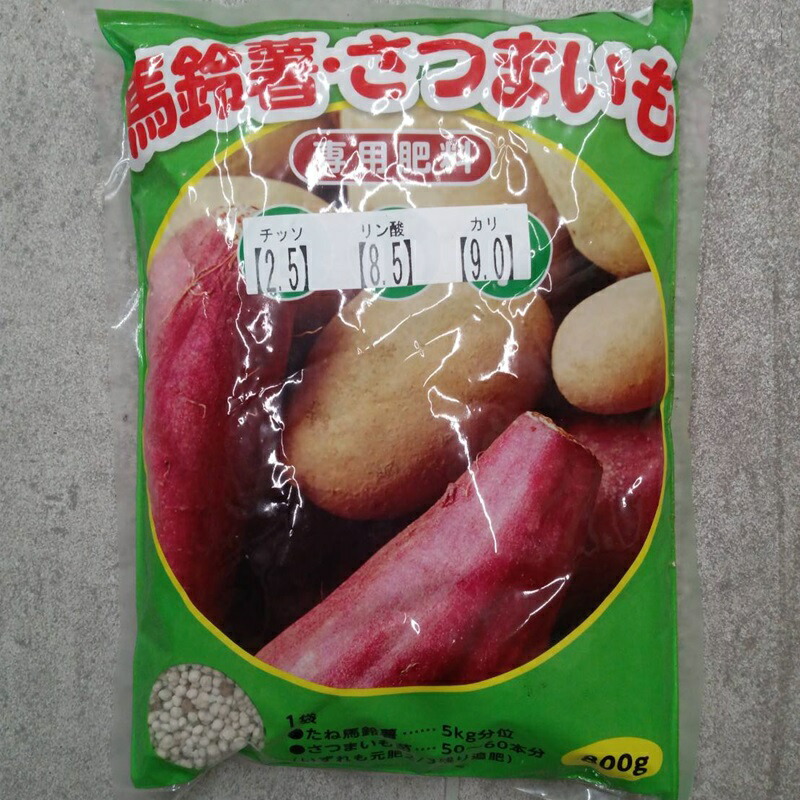 土付き赤芽里芋　種用（種芋）　箱別23キロ　愛知県産 楽天市場】春植え 種芋「 里芋 赤芽大吉 1kg (熊本県産)」 里芋