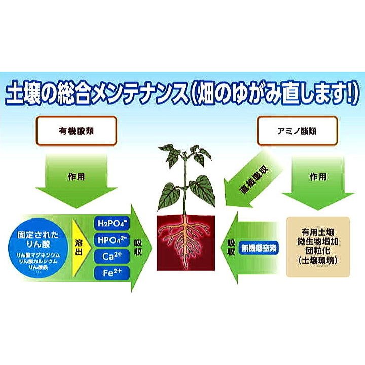 楽天市場 ソイルマスター 602 kg 15l Oatアグリオ 園芸用追肥肥料 土壌成分有効活用 アミノ酸入り液肥 瀧商店