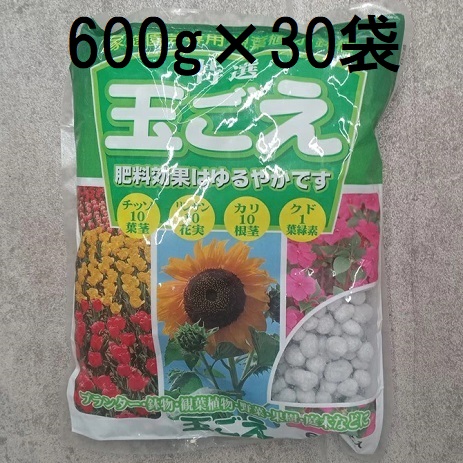 (30個書き割り特価) 玉ごえ 600g 玉肥 白いことどんぶり鉢 観葉草木に プランターに zs