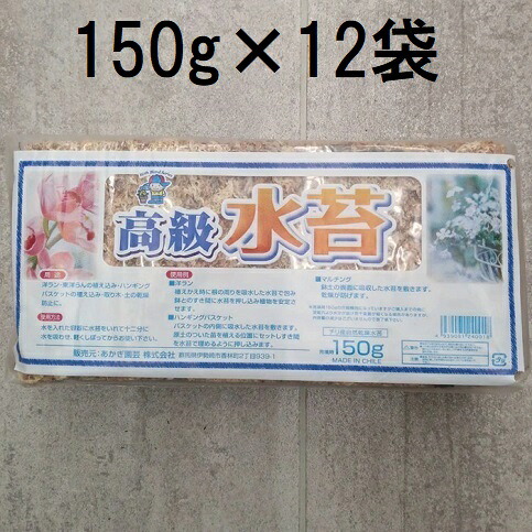 (徳用12個書き割り) チリ産 御前上等 水苔 150g あかぎ園芸 zs