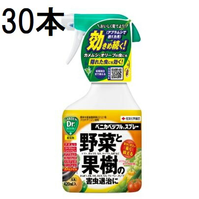 (30本ケース特価) ベニカベジフルスプレー 420ml 害虫退治 殺虫剤 住友化学園芸 (法人個人選択)