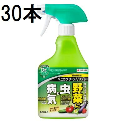 (30本ケース特価) ベニカグリーンVスプレー420ml 害虫退治 殺虫殺菌剤 住友化学園芸 (法人個人選択)