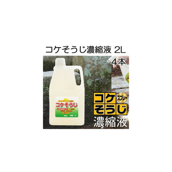 ケース特価4本セット コケそうじ 業務用 濃縮液 2l 倍希釈タイプ いしくらげ対策に 日本製 こけ駆除 苔除去 パネフリ工業 Cciampnr Com