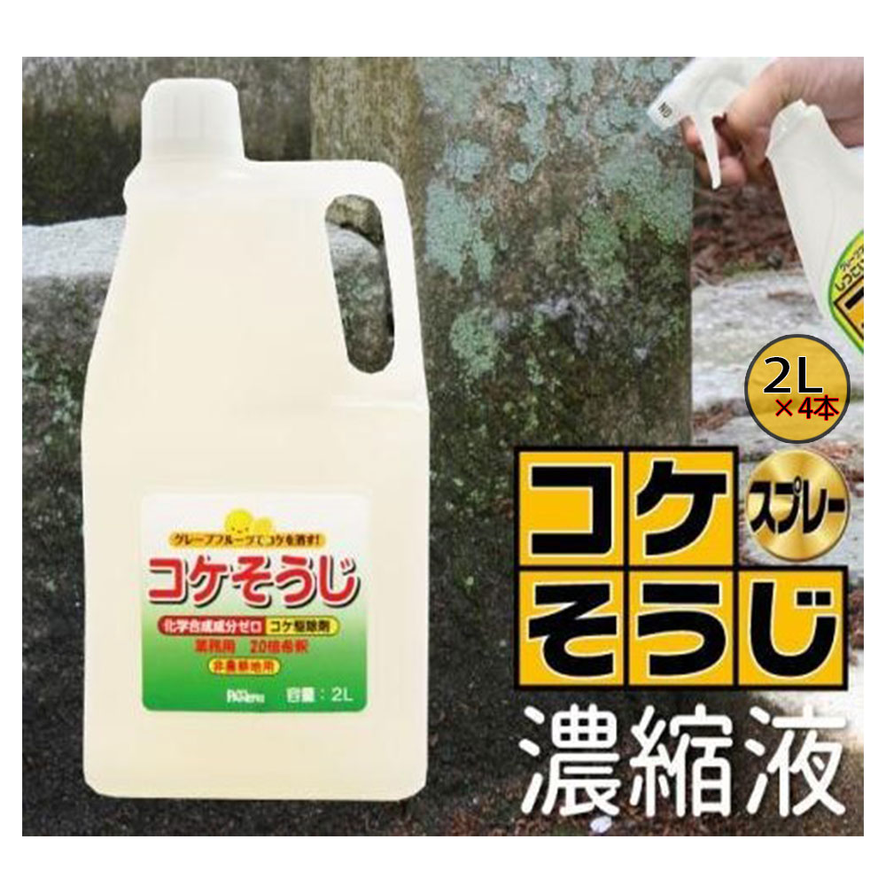 (1容れもの4本入特価) コケ其れは其れはじ 御勤め用 濃化液 2L 20倍薄める手合い (いしくらげ打つ手に 日本製 こけ追い出し 苔取りあげる) パネフリ実業 (SDS突きとめる済)