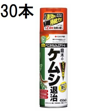 (30本ケース特価) 住友化学園芸 ベニカケムシエアゾール 450ml 害虫退治 殺虫剤 (法人個人選択)