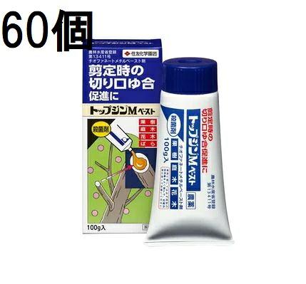 (60個 ケース特価) トップジンＭペースト 100g 害虫退治 殺菌剤 住友化学園芸 (法人個人選択)
