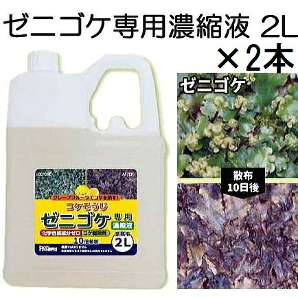 (徳用2本セット) コケそうじ ゼニゴケ専用 濃縮液 2L 業務用 パネフリ工業 (SDS確認済)｜瀧商店