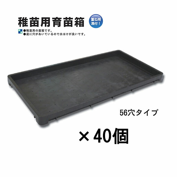 楽天市場】(200枚セット) 中成苗用育苗箱 1300穴 水稲用 内寸580