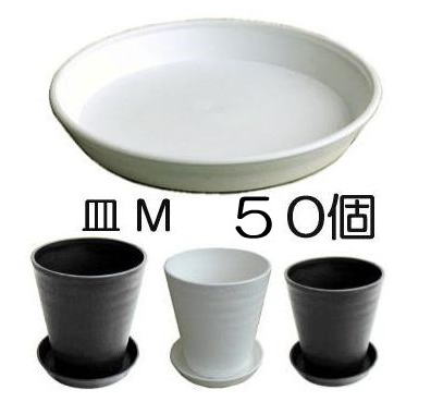 【50個セット！】明和 セラアート 皿(受皿、鉢皿)M 外径212×高さ30mm (適応鉢：長鉢7寸、長鉢8寸、平鉢27号) 白黒色選択 50個単位 zm