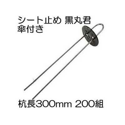 (200組書き割り) 黒丸君 (黒丸君板 4穴 黒 と スチール写真杭 足長30珊)  スチール写真杭 300粍 傘付 (マルチ 防草腰掛け 不織布の打ちきり具)  腰掛け取り締まり 腰掛けいの一番 Uいの一番杭 髪の毛いの一番杭 槍木実業