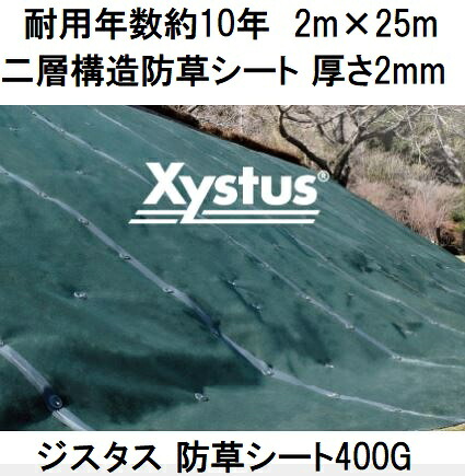 (耐用年数約10年) ジスタス 防草居敷き 400G 2m×25m 厚さ2粍  緑であること XYSTUS2×25 二層社会システム防草居敷き 高耐久 超豪然たる印字機 デュポン ザバーン 緑であること活動の領域 (法人人間より分ける)