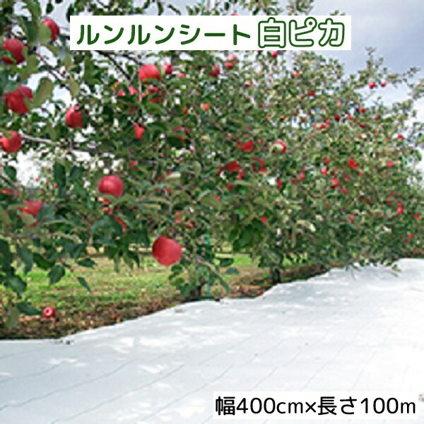 ルンルンシート 白ピカ 幅400cm×100ｍ 光合成促進 遮熱性防草シート 小泉製麻 (法人個人選択)