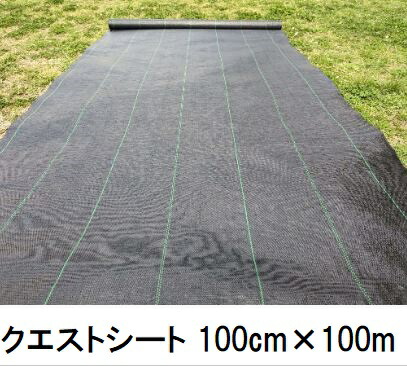 クエストシート 黒 幅100cm×100ｍ 防草シート 小泉製麻 (法人個人選択)