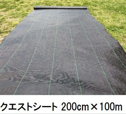 クエストシート 黒 幅200cm×100ｍ 防草シート 小泉製麻 (法人個人選択)