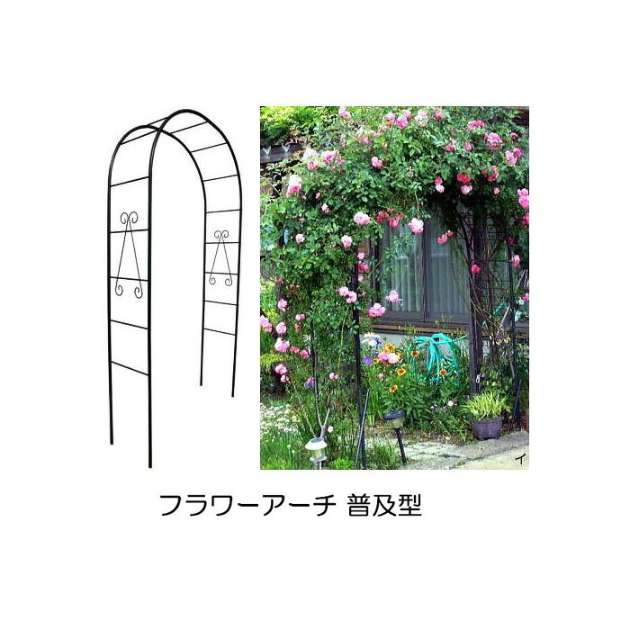 フラワーアーチ 普及型 No.216 W120&times;D40&times;H240 (埋込部30cm含む) バラアーチ グリーンガーデン 日本製 小林金物｜瀧商店