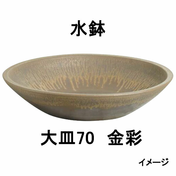 【信楽焼】水鉢 お皿70 金彩 (KTO-039 41948700) [隼見せ物 エクステリア 庭からだ付き DIY 瀧バス発着場] エクステリア・ガーデンファニチャー-その他-花・ガーデン・DIY