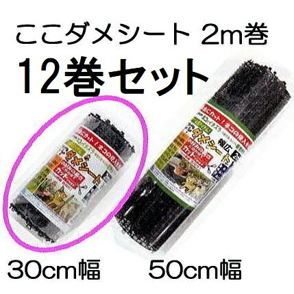 (ケース12巻セット) ここダメシート 幅30cm×2m 黒色 第一ビニール 【ネコ・犬・鳥などの侵入を防ぐ】 (個人宅不可 法人個人選択)