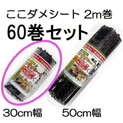 (5入れもの12巻×5仕掛ける) ここダメ腰かけ 幅30cm×2m 黒いこと (60巻仕掛ける) 第一ビニール 【猫・犬・鳥などの出しゃばるを防ぐ】 (人間宅不可 法人人間選りわける)