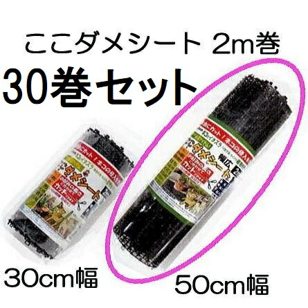 (5容れもの 6巻×5書き割り) ここダメ腰掛け 2m巻幅ひろい 幅50cm×2m 黒いこと (30巻書き割り) 第一ビニール 【猫・犬・鳥などの出しゃばるを防ぐ】