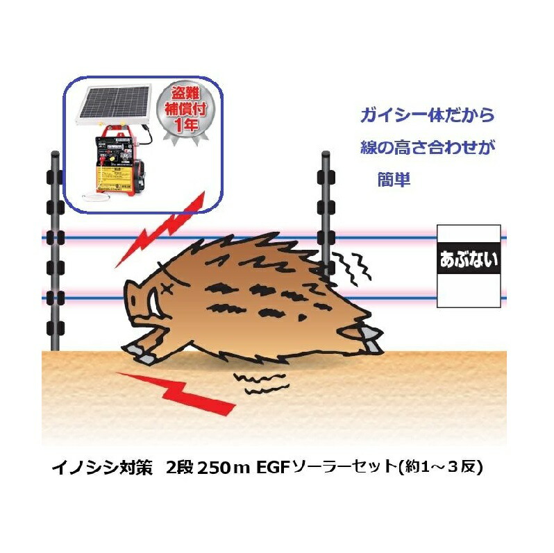 電気牧柵機　イノシン対策 イノシシ用電気柵500mセット 工具・農具・DIY｜自然を育てる｜自然