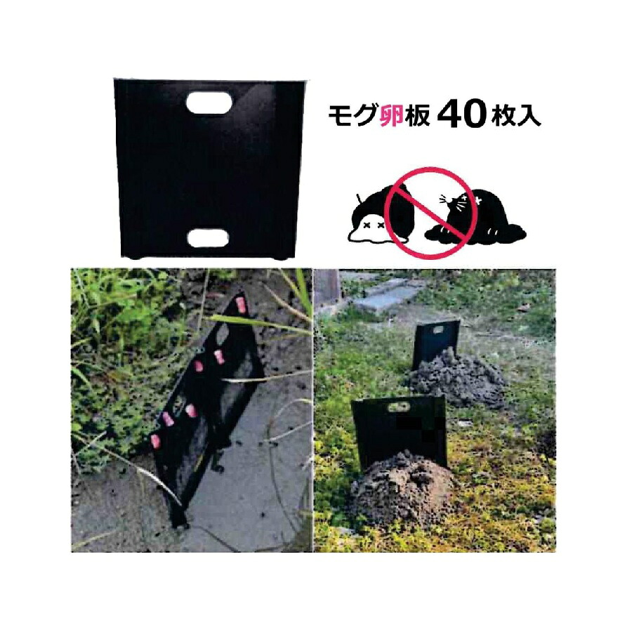 (40枚入) モグ卵板（もぐらんばん） SPT300-A10 (10枚入×4個) 大栄工業| モグラ ジャンボタニシ 水稲