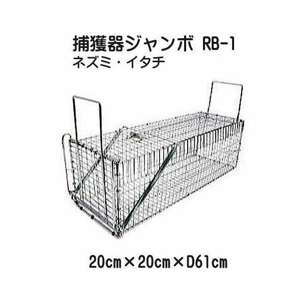 楽天市場】(3個セット特価) 動物トラップ 1.5号 (片バネ) 小動物捕獲器 (アニマルトラップ 改良型 ゴム付) 手動式罠 (Ctype  No.301 TN-1 栄ヒルズ) 栄工業 : 瀧商店