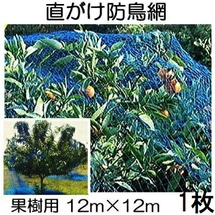 楽天市場】果樹用 直がけ防鳥網 6m×6m 20mm目 1000d (強力防鳥網